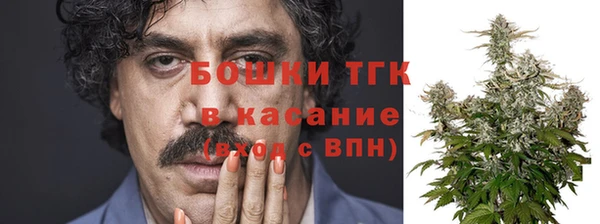 ешки Верхний Тагил