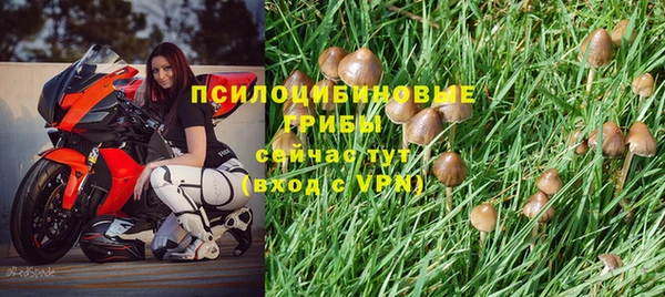 молекула духа Верея