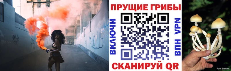 Галлюциногенные грибы прущие грибы  продажа наркотиков  Весьегонск 